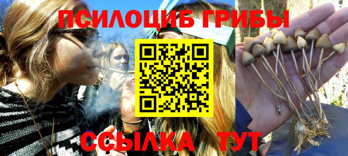 Галлюциногенные грибы Cubensis  Галлюциногенные грибы Psilocybe  Севастополь  Вход с VPN 